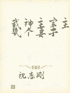 武神主宰主角有几个妻子