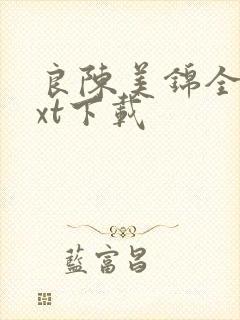 良陈美锦全文txt下载