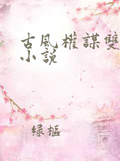 古风权谋双男主小说