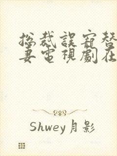 总裁误宠替身甜妻电视剧在线播放