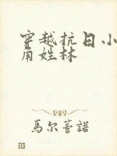 穿越抗日小说主角姓林