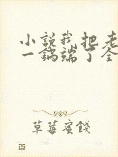 小说我把老婆家一锅端了全文阅读