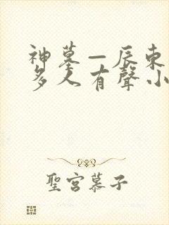 神墓—辰东免费多人有声小说