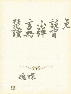 楚玄小说免费阅读无弹窗