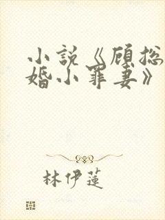 小说《顾总的隐婚小罪妻》