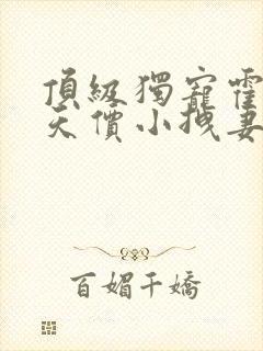 顶级独宠霍爷的天价小拽妻全文免费阅读