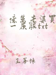 亿万老婆买一送一原版txt