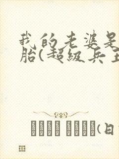 我的老婆是双胞胎(超级兵王在都市)