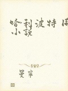 哈利波特 同人小说