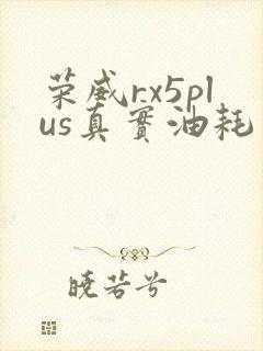 荣威rx5plus真实油耗多少