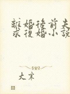 离婚后前夫哭着求复婚小说全文在线阅读