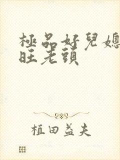 极品好儿媳秦雨旺老头