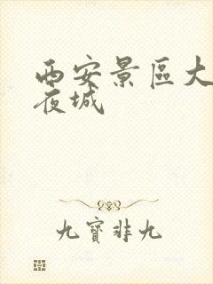 西安景区大唐不夜城