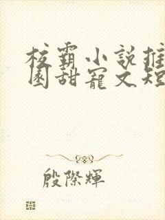 校霸小说推荐校园甜宠文短篇