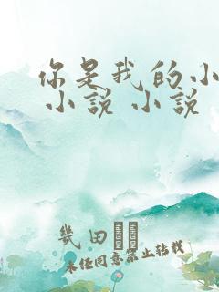你是我的小确幸 小说 小说