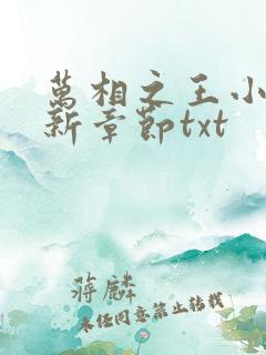 万相之王小说最新章节txt