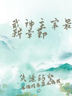 武神主宰最新更新章节