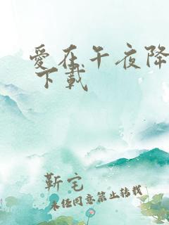 爱在午夜降临前 下载