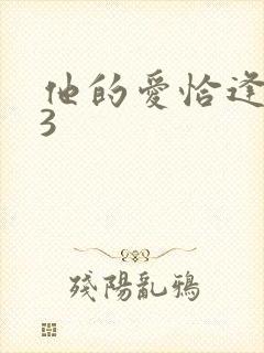 他的爱恰逢其时3