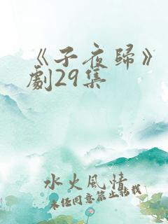 《子夜归》电视剧29集