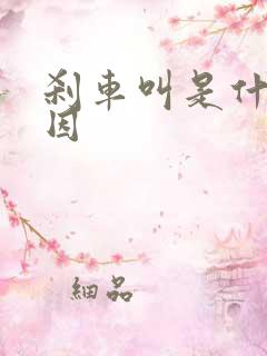 刹车叫是什么原因