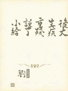 小说重生后我嫁给了残疾大佬