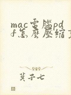 mac电脑pdf怎么压缩变小
