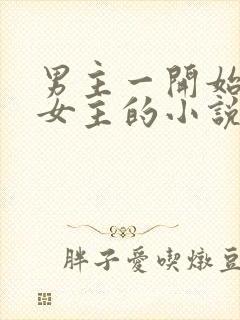 男主一开始嫌弃女主的小说