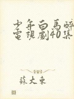 少年白马醉春风电视剧40集