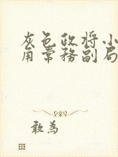 灰色政将小说主角常务副局长王强