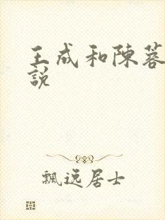 王成和陈蓉的小说