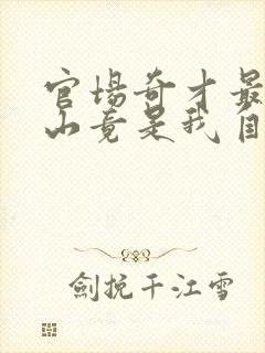 官场奇才最强靠山竟是我自己李澜全本阅读