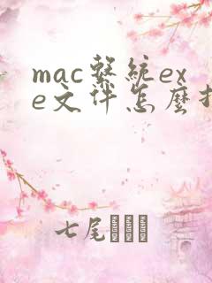 mac系统exe文件怎么打开