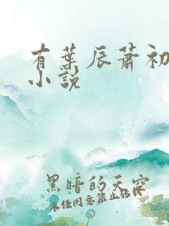 有叶辰萧初然的小说