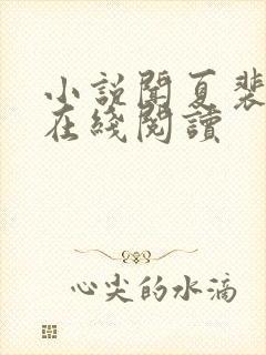 小说闻夏裴叙白在线阅读