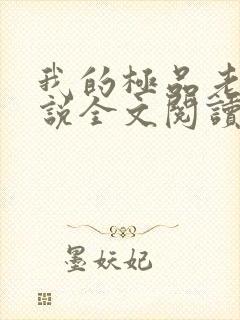 我的极品老婆小说全文阅读免费