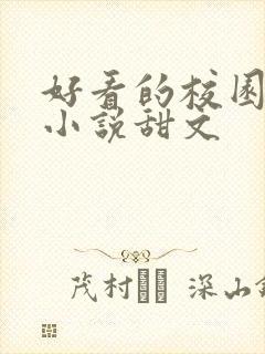 好看的校园言情小说甜文