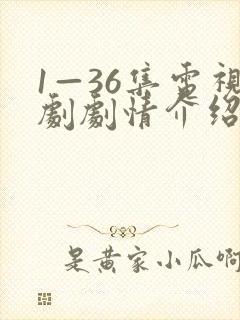 1—36集电视剧剧情介绍
