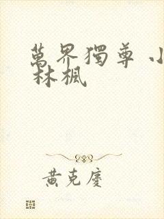 万界独尊 小说 林枫
