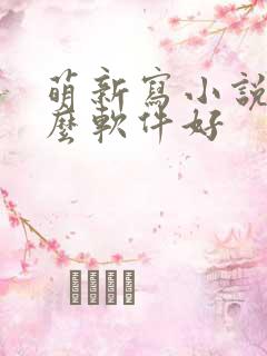 萌新写小说用什么软件好