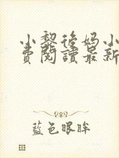 小黎后妈小说免费阅读最新章节更新