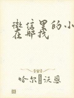 微信里的小程序在哪找