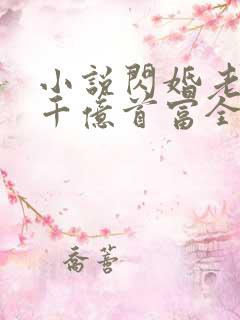 小说闪婚老公是千亿首富全文