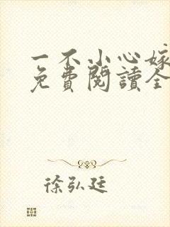 一不小心嫁总裁免费阅读全文