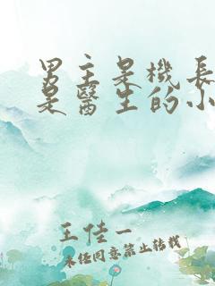 男主是机长女主是医生的小说