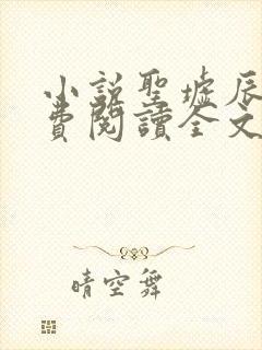 小说圣墟辰东免费阅读全文