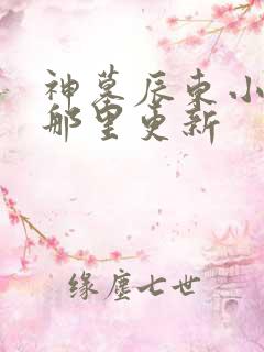 神墓辰东小说在那里更新