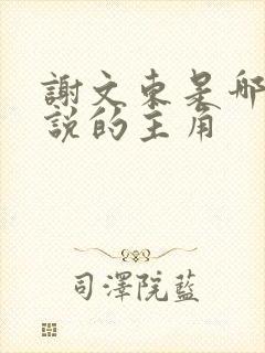 谢文东是哪部小说的主角