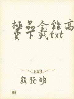极品全能高手免费下载txt