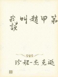 我叫赵甲第的小说